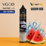 vgod saltnic 30ml vape juice-Lush Ice