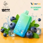 ELFBAR BC10000 Puffs Disposable Vape Blueberry Mint