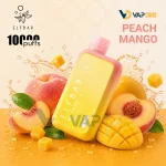 ELFBAR BC10000 Puffs Disposable Vape Peach Mango